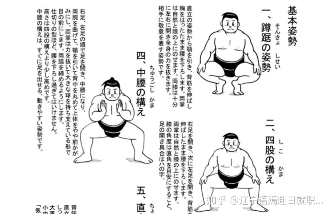 奇怪的知识又增加了体重几百斤的相扑选手是怎样擦屁股的