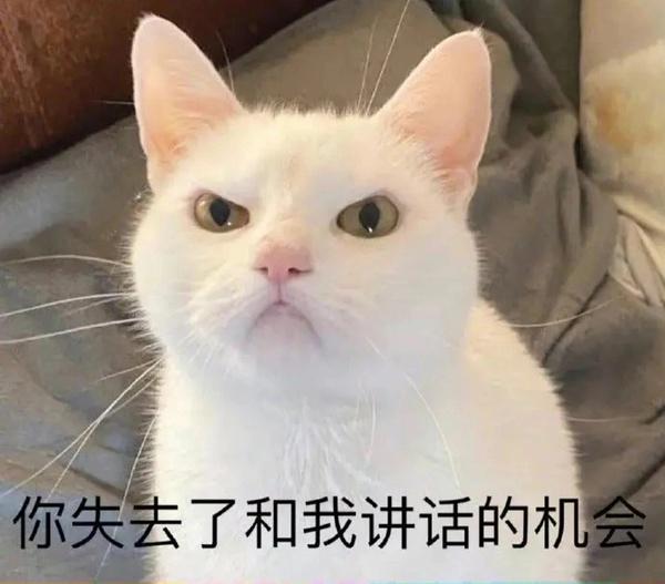 100个可爱表情包 - 知乎