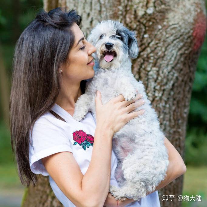 警惕:多人感染这几种病,只因养了狗 - 知乎