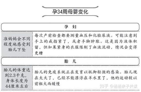 34周胎儿在母体的姿势是什么样的 怀孕34周胎儿生下来图 Duboot网