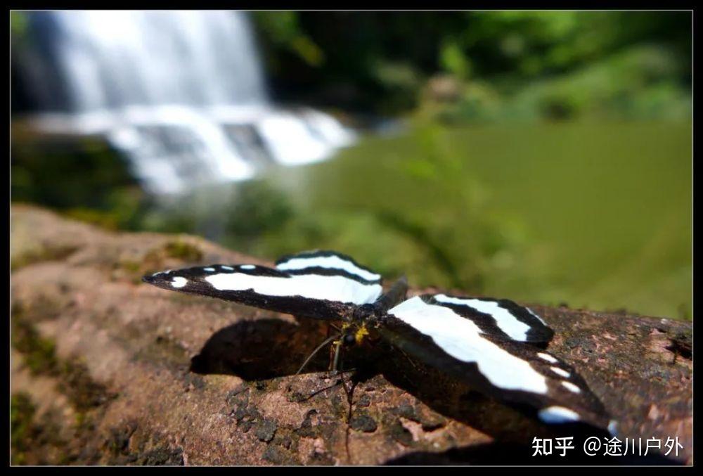 高铁1.5h跑拢!四川这座千年江城,美食美景无数!终于藏不住了!