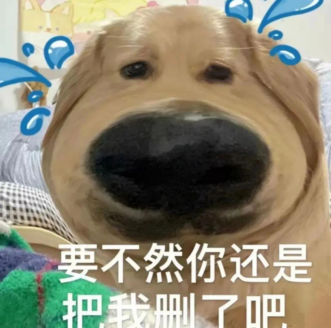138张手机里最搞笑的表情包