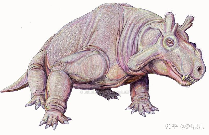 貘头兽(tapinocephalus)貘头兽生存于中二叠纪,是种大型植食性恐头