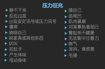 v2-777e84a1951466c325ff37ae74acd113_b.jpg