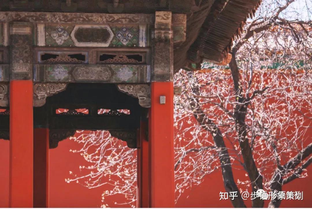朱红|你所不知的中国文化 - 知乎