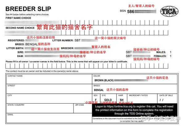 猫舍证书 血统证书 选购品种猫怎么辨别可靠猫舍 知乎