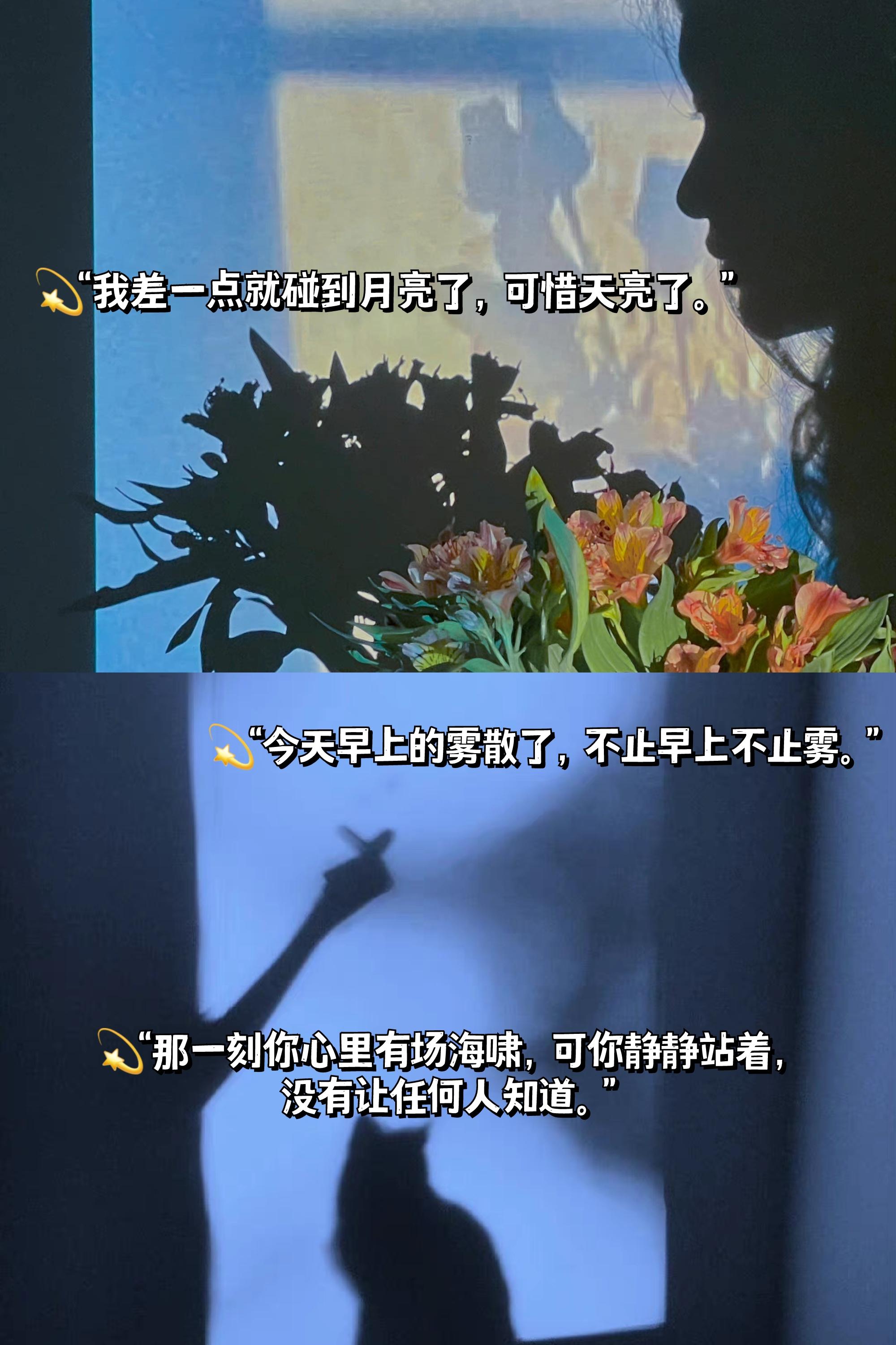 文案關於錯過和遺憾你會怎樣描寫遺憾