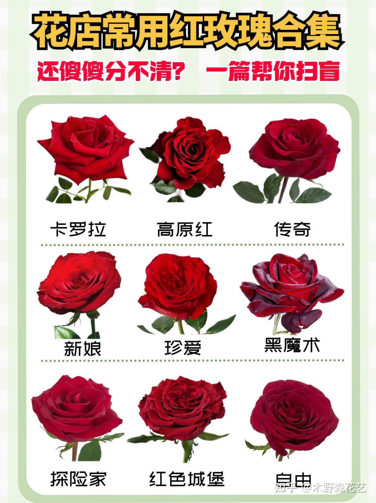 新手开花店，花店常用红玫瑰有哪些？ - 知乎