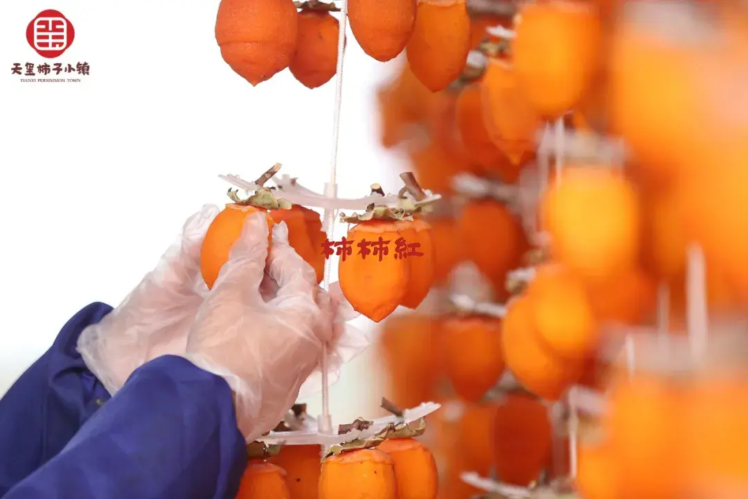 传统技艺历久弥新之富平柿饼的制作工艺