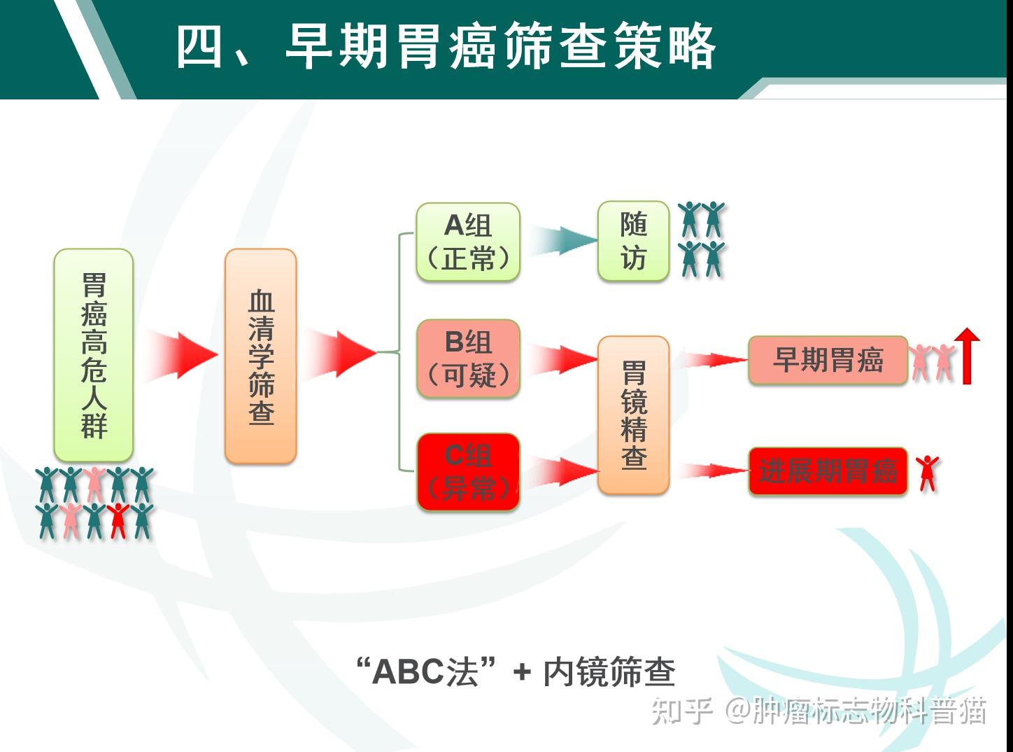 胃泌素三角图片