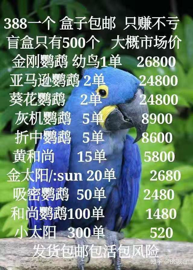 鹦鹉品种混着中小型, 中型, 甚至大型鹦鹉, 从国家二级保护动物到