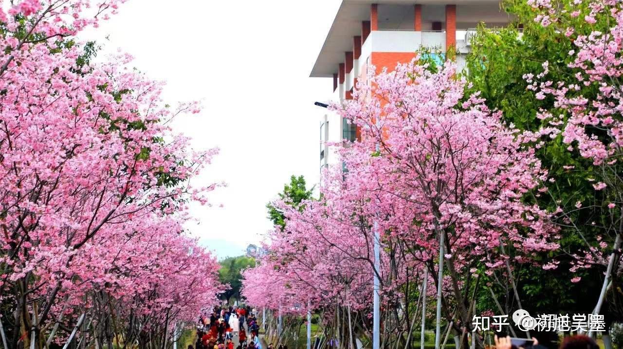 最新韶关学院2022年普通专升本招生简章