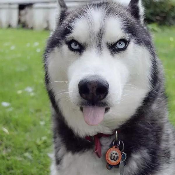 长相冷漠是一种什么体验?