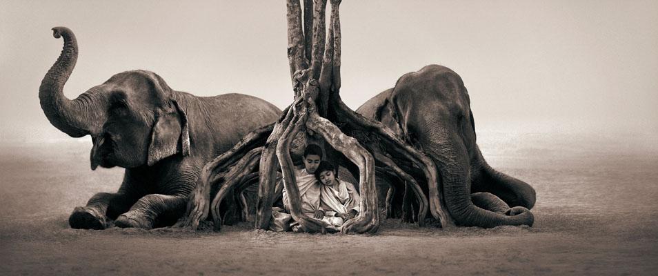 colbert的攝影作品: 查看更多圖片:https://gregorycolbert