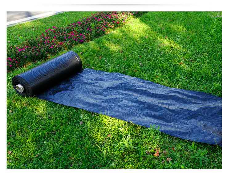 除草布价格格盖草布价格的区别