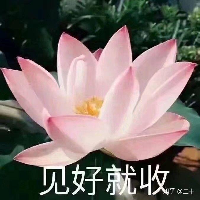 v2-77f7a9986ebd44a21e57f4d7dfee083f_r.jpg