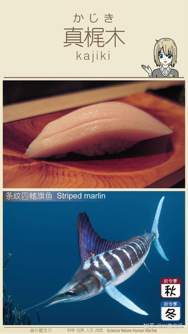 日本寿司一般会用到什么鱼 刺身的话除了三文鱼还有什么比较出名的鱼种供选用 寿司刺身有哪几种鱼 Urpimp网