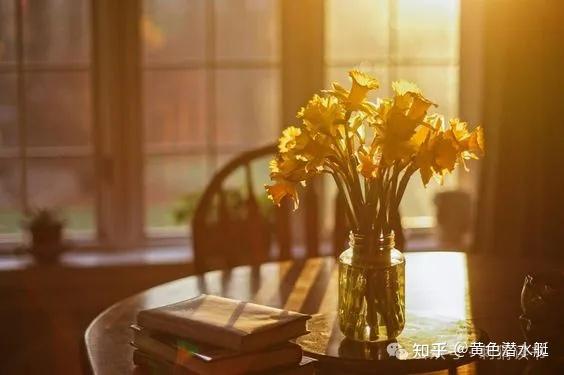 2025年过去了，我很怀念它 - 知乎