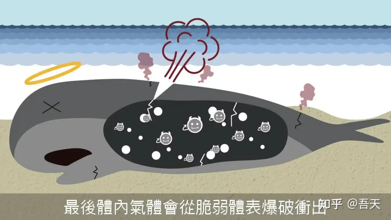 什么是鲸爆?为何威力那么大?