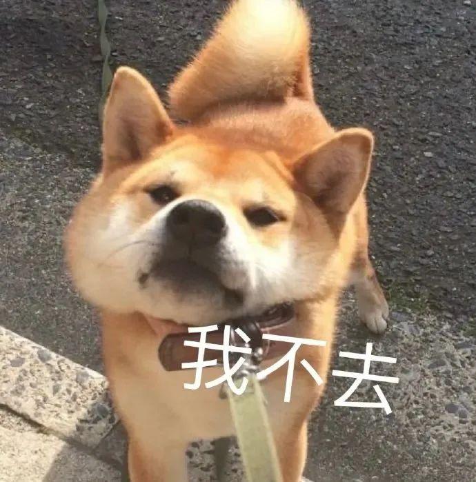 120张万能的表情包推荐-万能表情图片大全