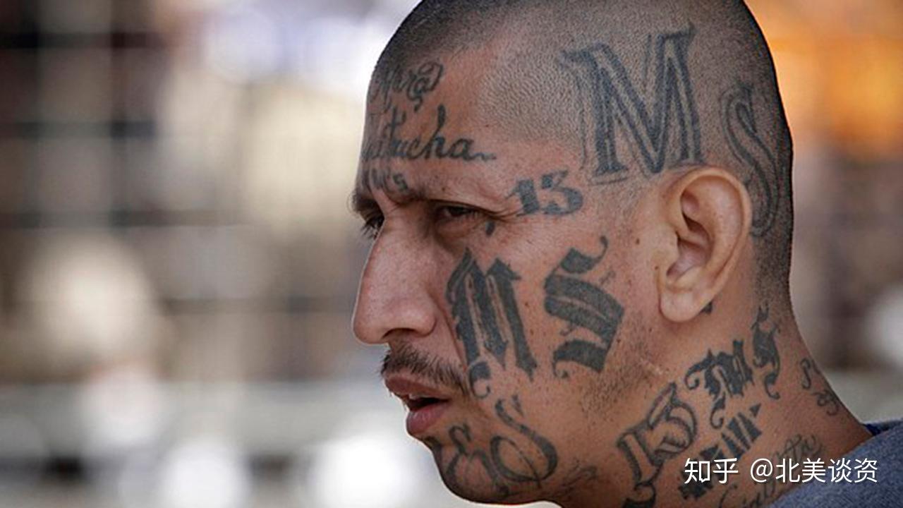 trumpdaily白宫司法部fbi宣布打击美国黑帮ms13行动