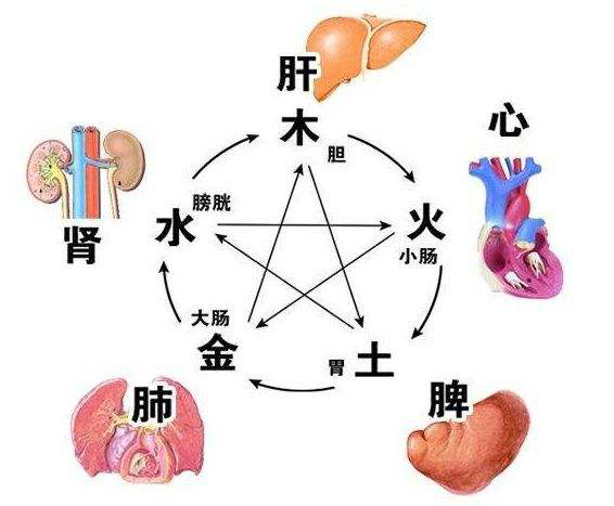 养生就是养五脏!这套五脏保健操,每天半小时,滋养五脏提升精气 - 知乎