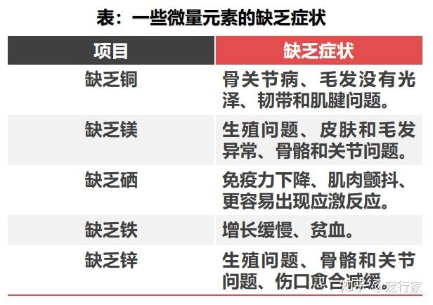 狗狗饮食中需要的5种微量元素少一样都不行