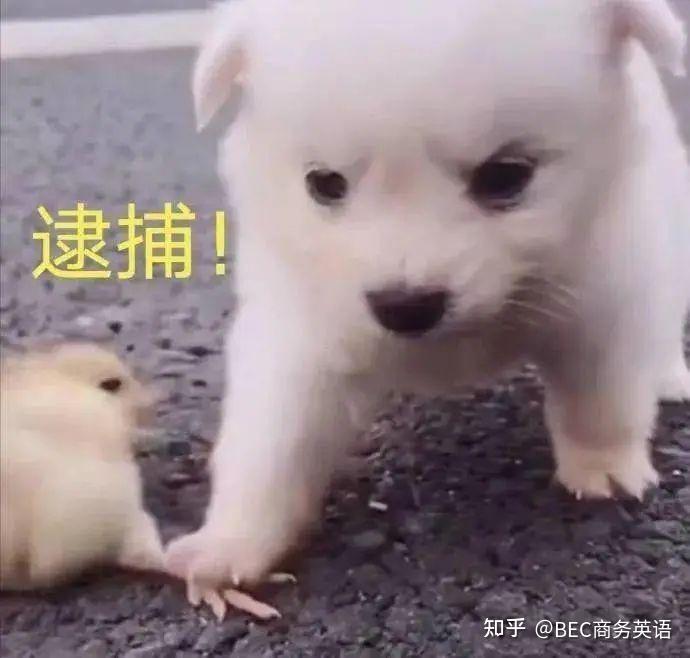 the long arm of the law也就是“法律的长臂”到底指的是什么？ 知乎