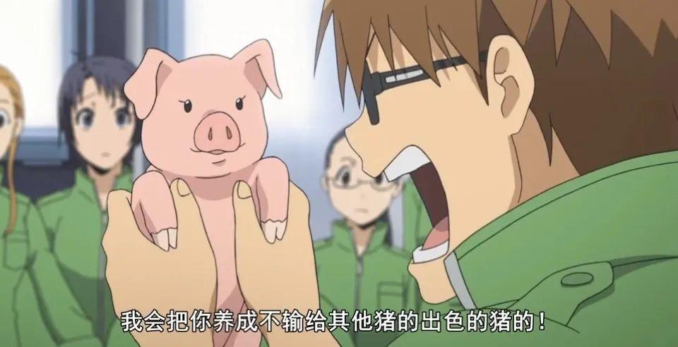 还有讲述农业知识的《银之匙》,种田的dna仿佛在这一刻动了,看这只猪