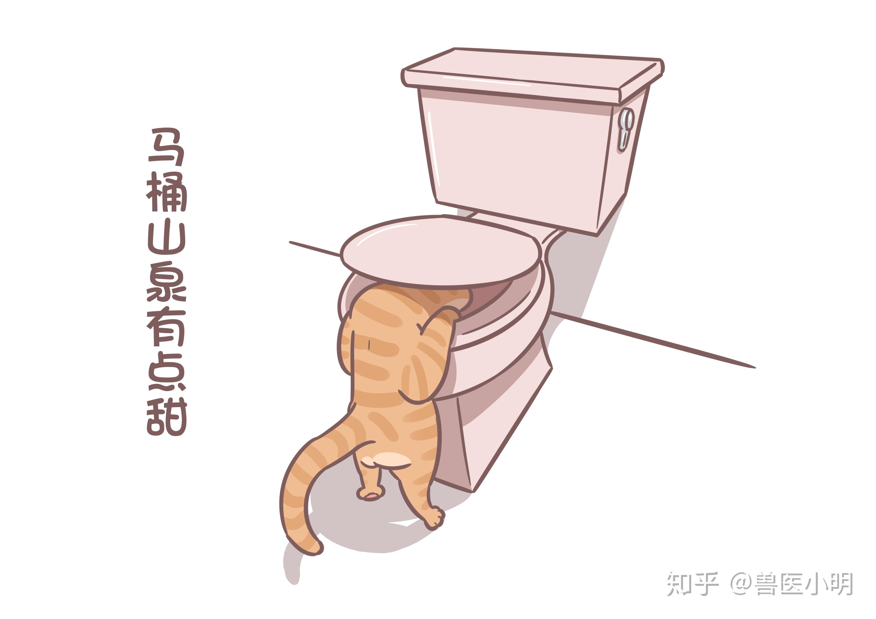 猫咪爱喝洗脚水?你以为是自己的脚香?人家小猫咪可是另有所图