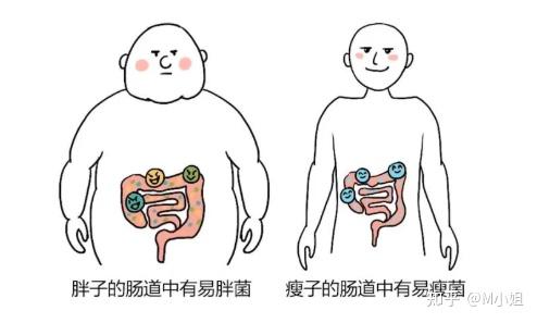 你們試過最省心最健康的變瘦方法是什麼