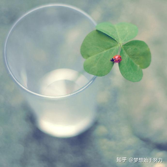 空杯心态 - 知乎