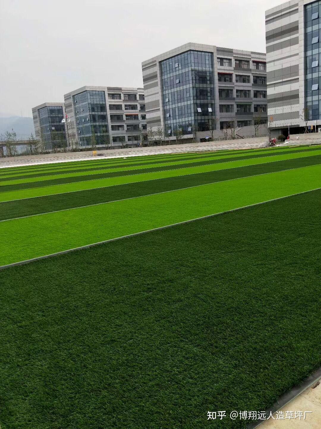 八人制足球场需要多少钱