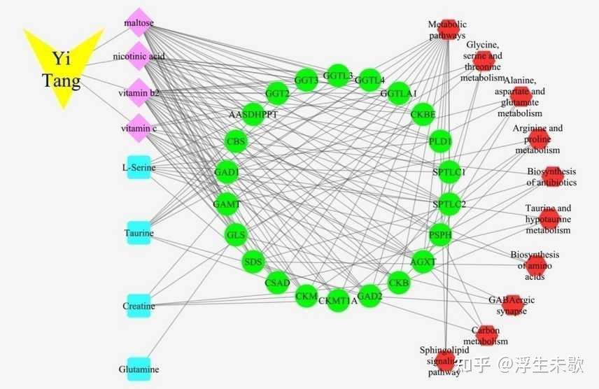 网络药理学和代谢组学在中药研究中的应用 知乎