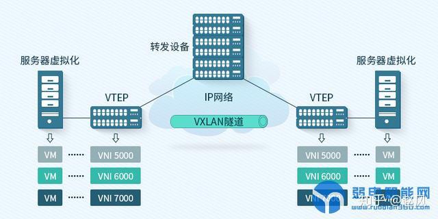vlan vxlan区别  第1张