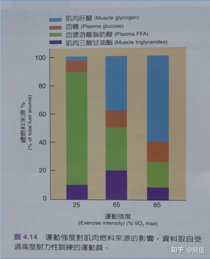 運動時消耗的能量底物大部分是脂肪(血漿遊離脂肪酸,肌肉三酸甘油酯)