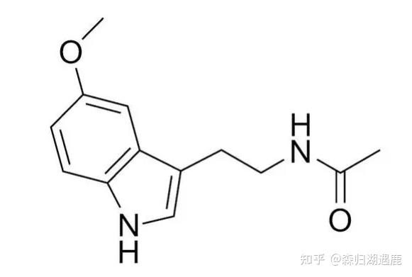 褪黑激素有副作用吗