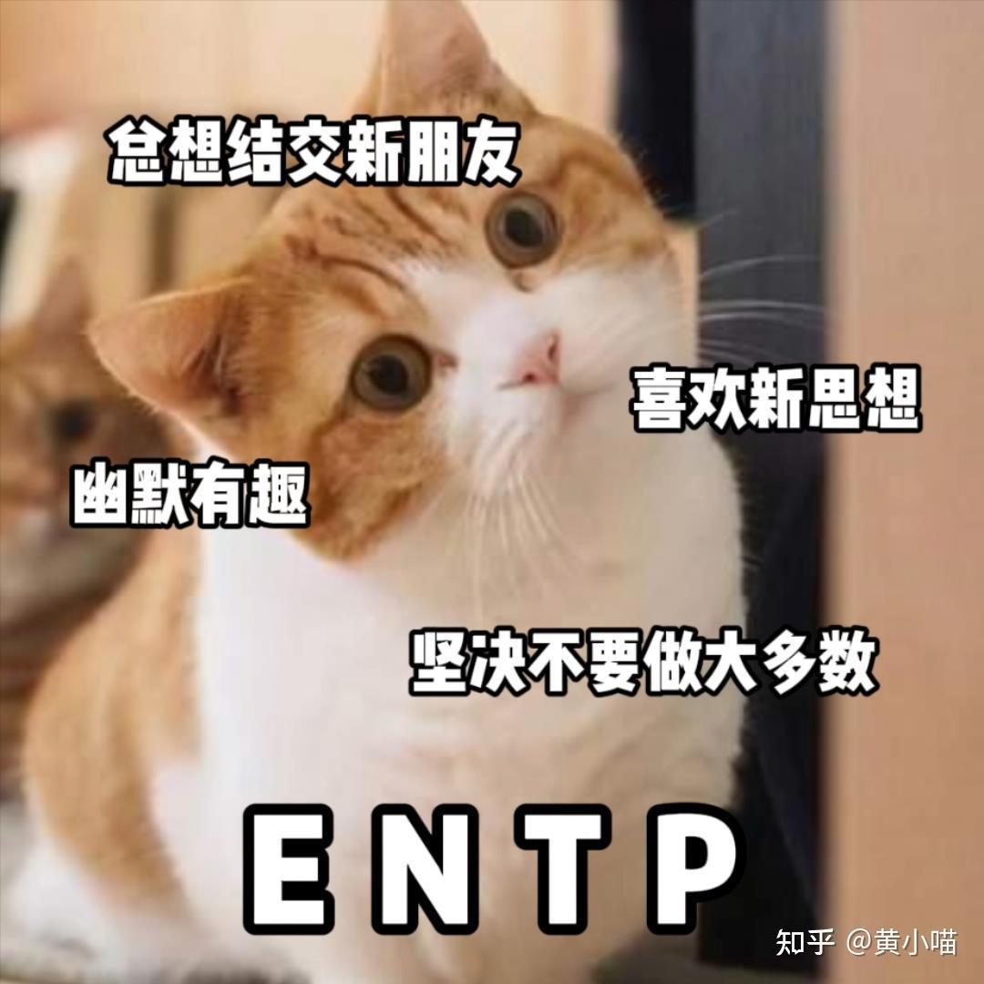 Mbti16人格之一entp的特征 - 知乎