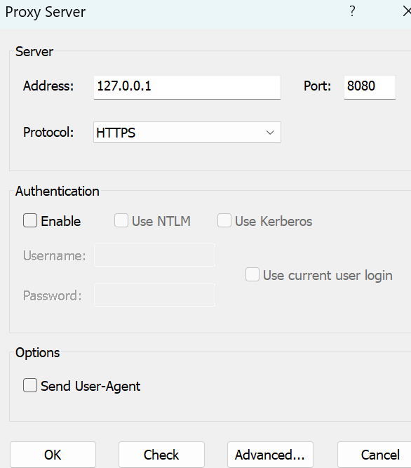 Windows11 burpsuite http 