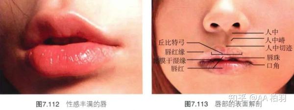 唇部填充(丰唇)的注射方法详解,M唇,嘟嘟唇, - 知乎