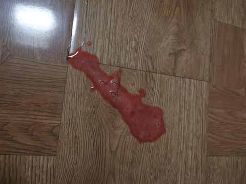 前天早上吐血了! 吓得我赶紧带它去了医院.