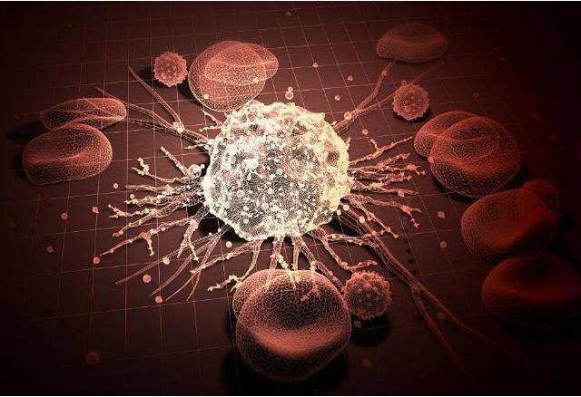 常见抗肿瘤中成药排行前十 金雀异黄素如何抗肿瘤