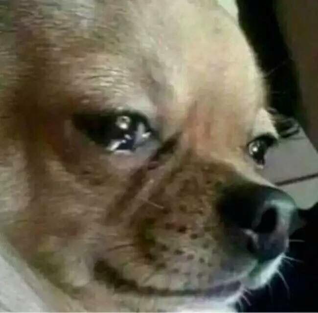 彩虹六号168,208和328这三个版本有什么区别