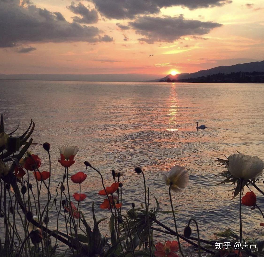 theroseisby未甜海徐祁舟符旗全文在线阅读txt完整版未删减