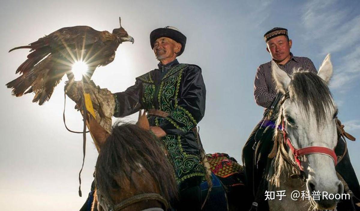 熬鹰到底有多难?七天七夜不合眼,还有人最后把自己熬死了 - 知乎