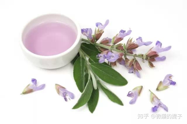 60%(主要为布藜烯)倍半萜烯醇:30-60%(主要为广藿香醇)倍半萜烯氧化物