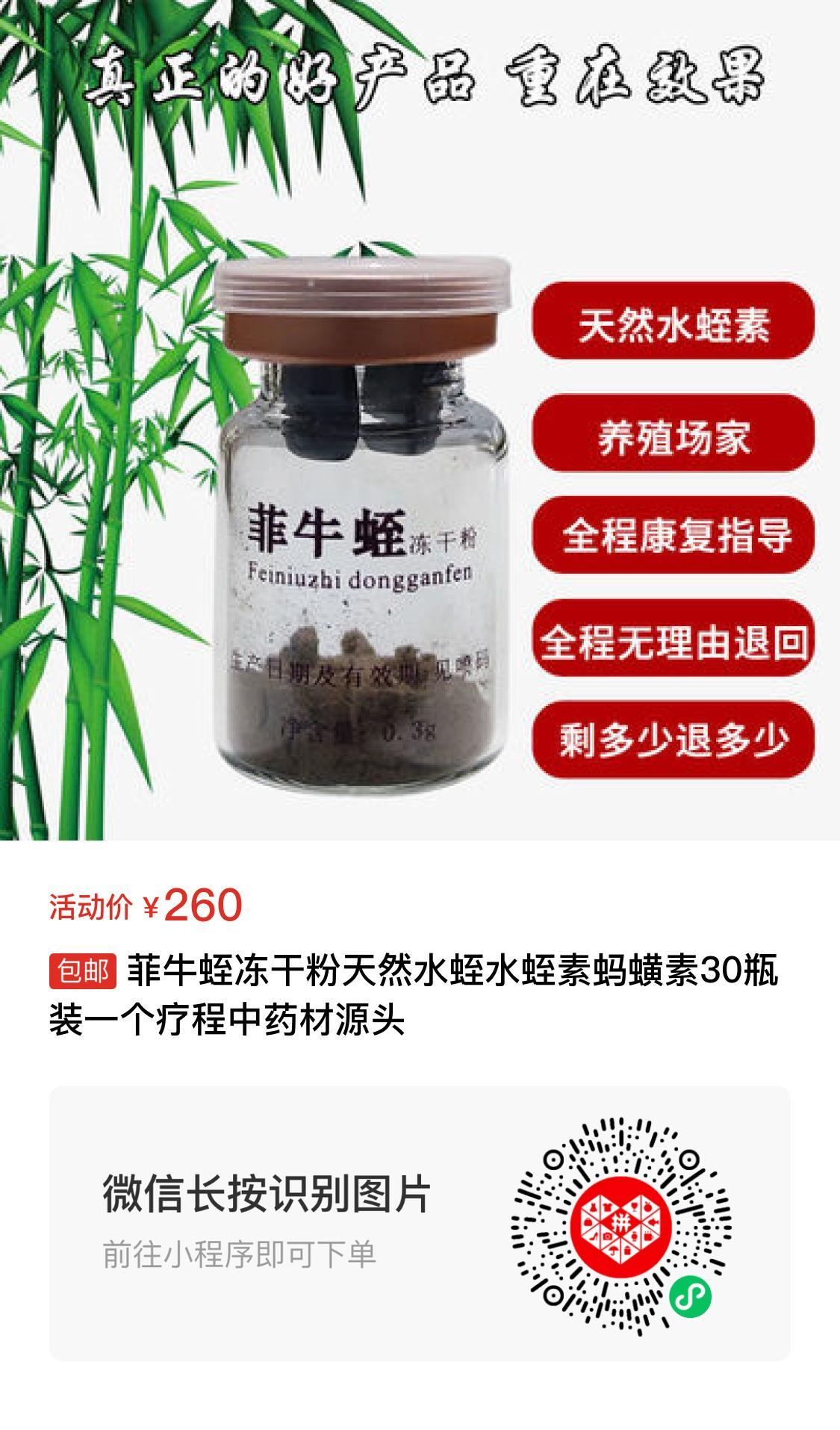 菲牛蛭功能主治图片