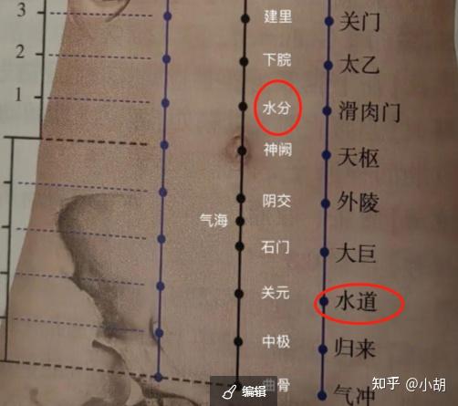 倪海厦针灸课笔记(10)足阳明胃经 下 - 知乎