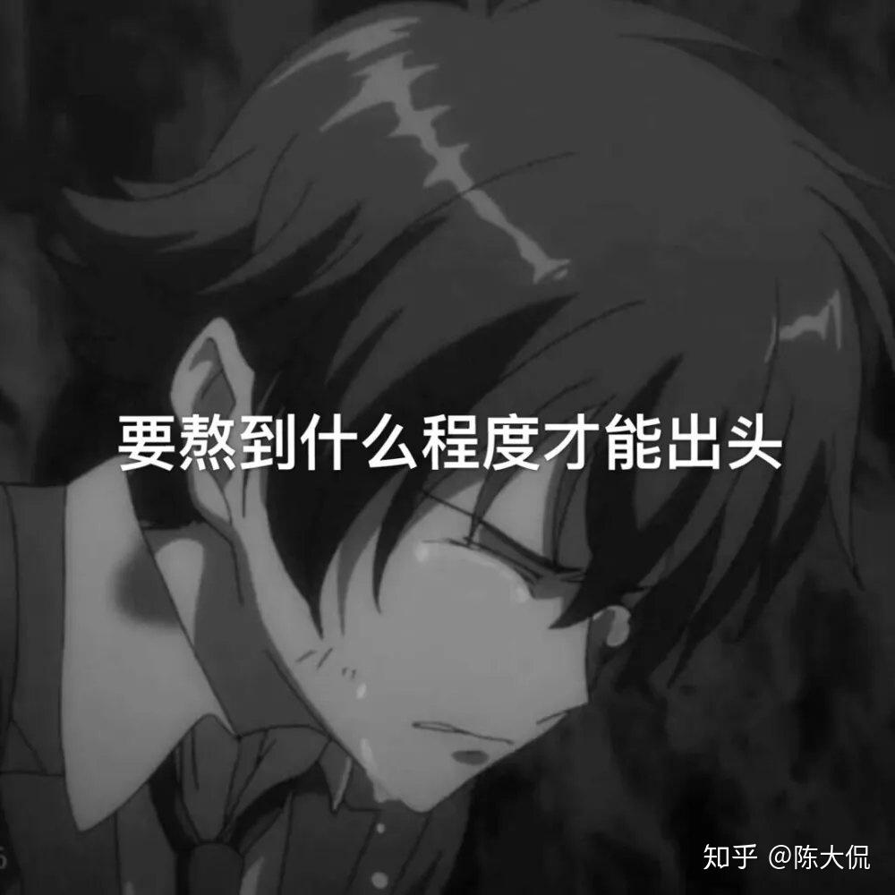 我的网易云 你听不懂我的文案 你看不懂我的故事