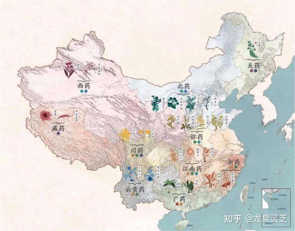 什么是道地药材？道地药材和非道地药材有什么区别？ - 知乎